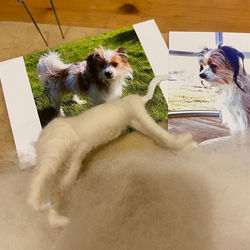 Entstehung einer Hundefigur mit der Nadel gefilzt im Miniaturformat nach Fotovorlage ca. 13 cm lang