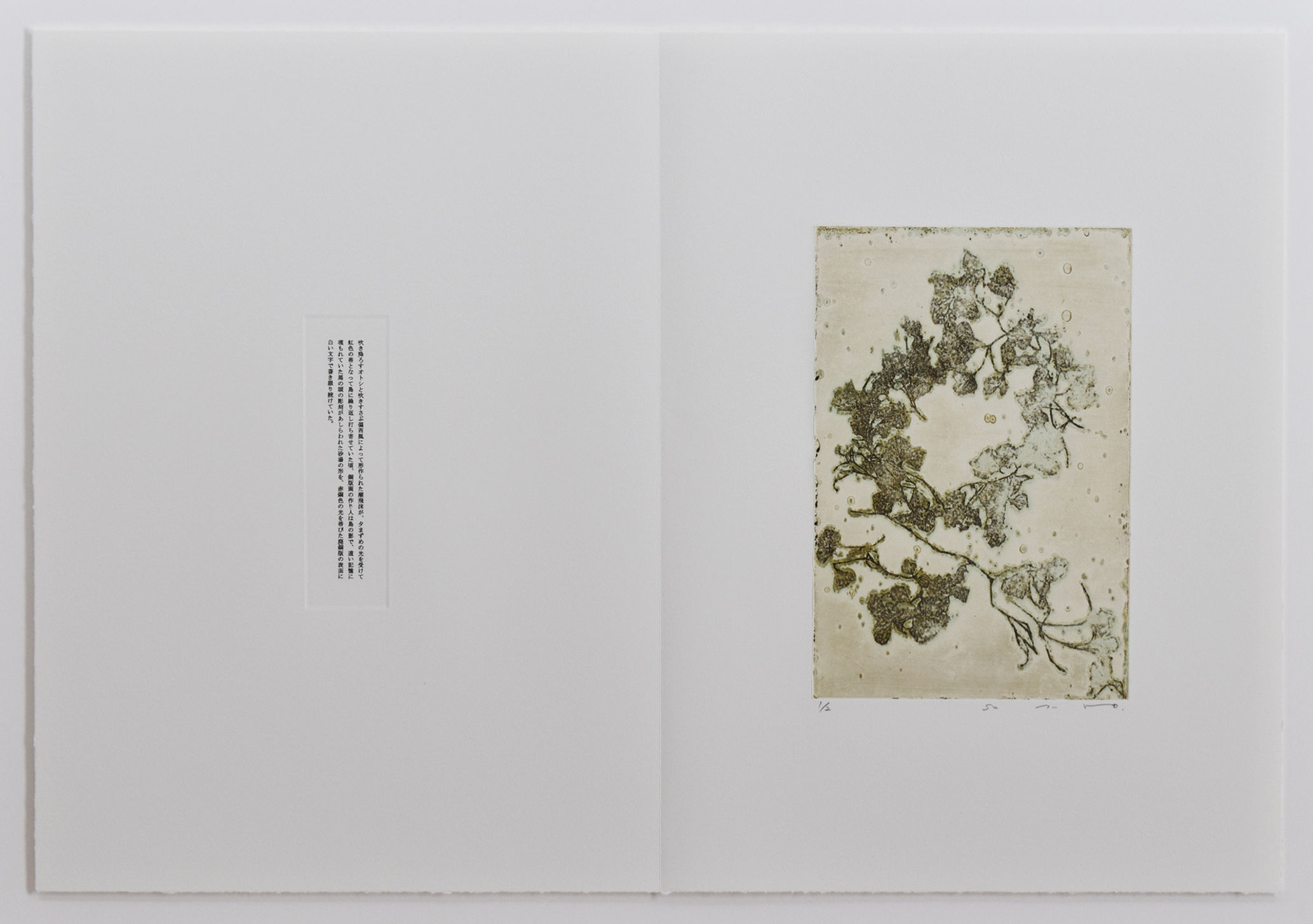 piacer d'amor bush<版と言葉>