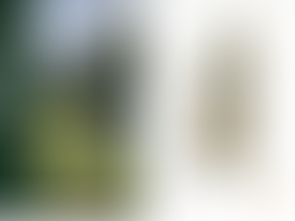 Una portada y contraportada de artistas locales, y a todo color, para la crónica número 134 de Lugia