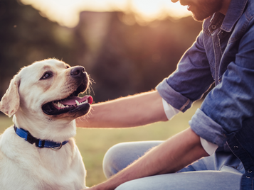 The Importance of Nurturing Bonds