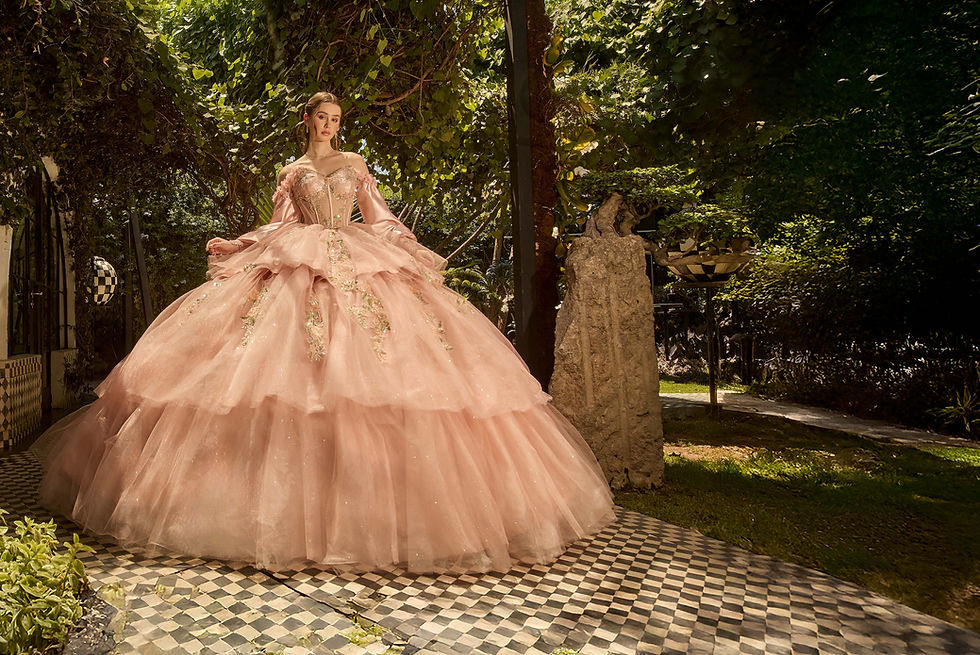 15 dresses Quinceanera Dress Ball Gown Princess Sweet 16 Dress Birthday Party Vestido De 15