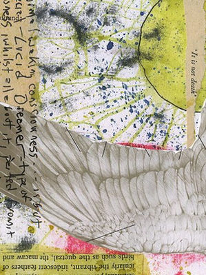 Rimbaud of Maghull: Wild Twin Reviewed in Tribune