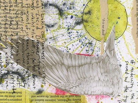 Rimbaud of Maghull: Wild Twin Reviewed in Tribune