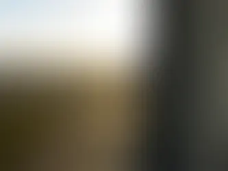 Paperback of the Week in The Observer