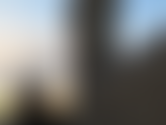 Cardiff's Hidden Gems: The Spots Only Locals Know