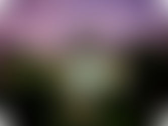 How Much Can You Earn from a Cardiff Airbnb? Real Data 2026