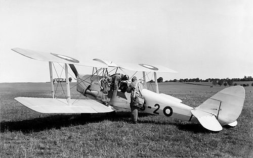 De Havilland DH82 Tiger Moth (IS)