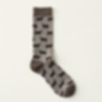 River Otter Socks