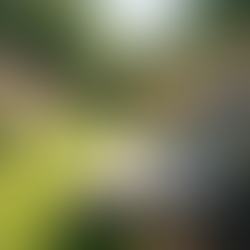 Wellness Strategies for Women in Midlife Transition