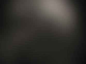 🇺🇸 Which Road to the Riders Are You?