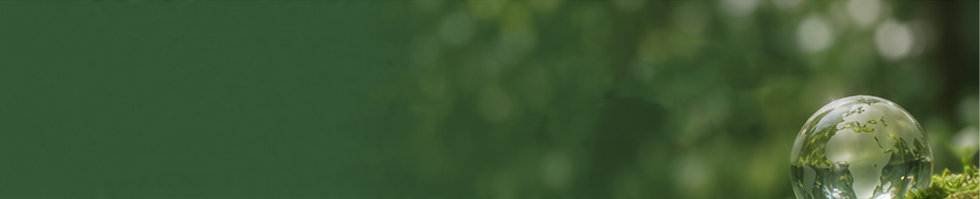 PTP_image4.png