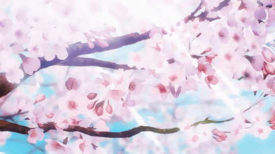 tumblr_p2d3wpl5eu1qzxv73o1_540.gif