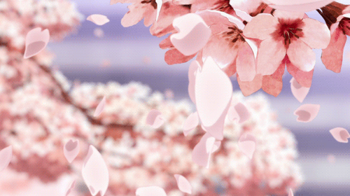 0ca3c6208578b8910445c557b3bf8f87.gif