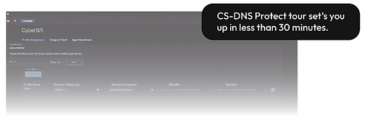 Cybersift Dns Protect Enhance Your Protection