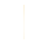 Webinar (1).png