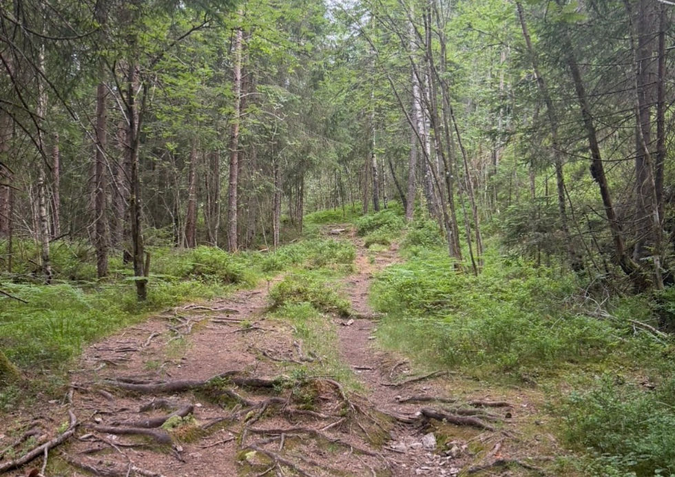 GPS-en som tok feil