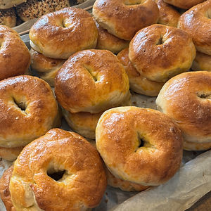 Plain Bagels