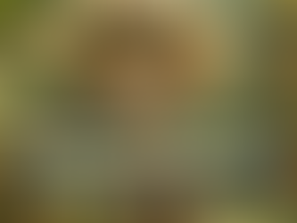 Gagner en liberté : et si on imitait les lutins ?