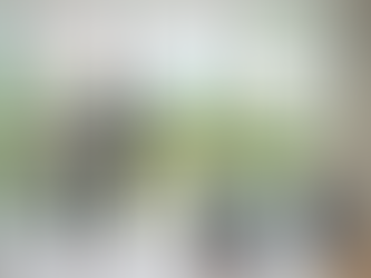 Treatment outcomes in functional neurological disorder: a systematic review and meta-analysis exploring the influence of symptom chronicity