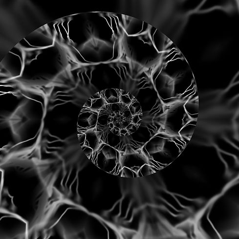 Activo digital de la coleccion NFT 'Polymita picta' de Axel Doyel Studio. Esta pieza de arte ambiental adopta un tratamiento monocromatico en blanco y negro con filamentos fractales en espiral logaritmica, evocando una radiografia o fosil digital. Utiliza el fantasma de la despigmentacion del caracol terrestre cubano como metafora sobre la fragilidad de la biodiversidad global frente a especies amenazadas de mayor escala como elefantes o ballenas. Funciona como un token inmutable en la Web3 diseñado para concienciar sobre la proteccion de ecosistemas y denunciar el riesgo de extincion.
