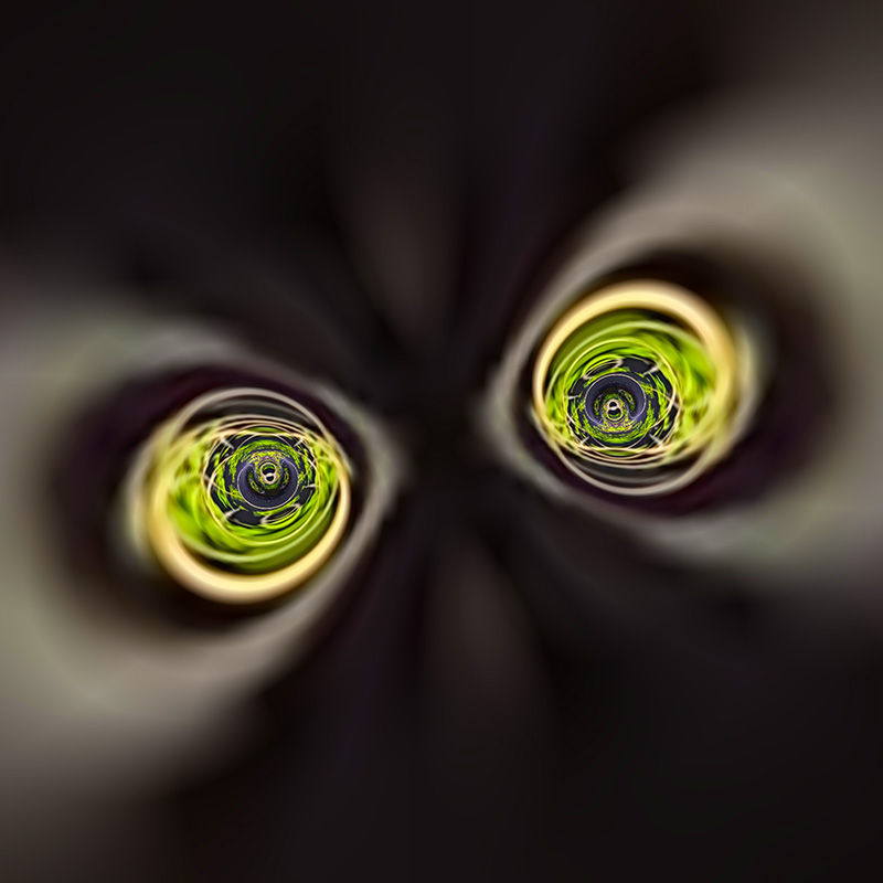 coleccion-ojos-de-mono-asustado-polymita-picta-arte-ambiental-nft-bioluminiscencia-nocturn