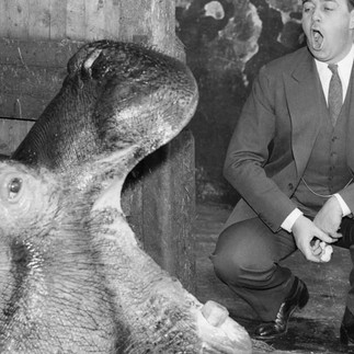 Vintage image of a hippo and man opening mouths to each other