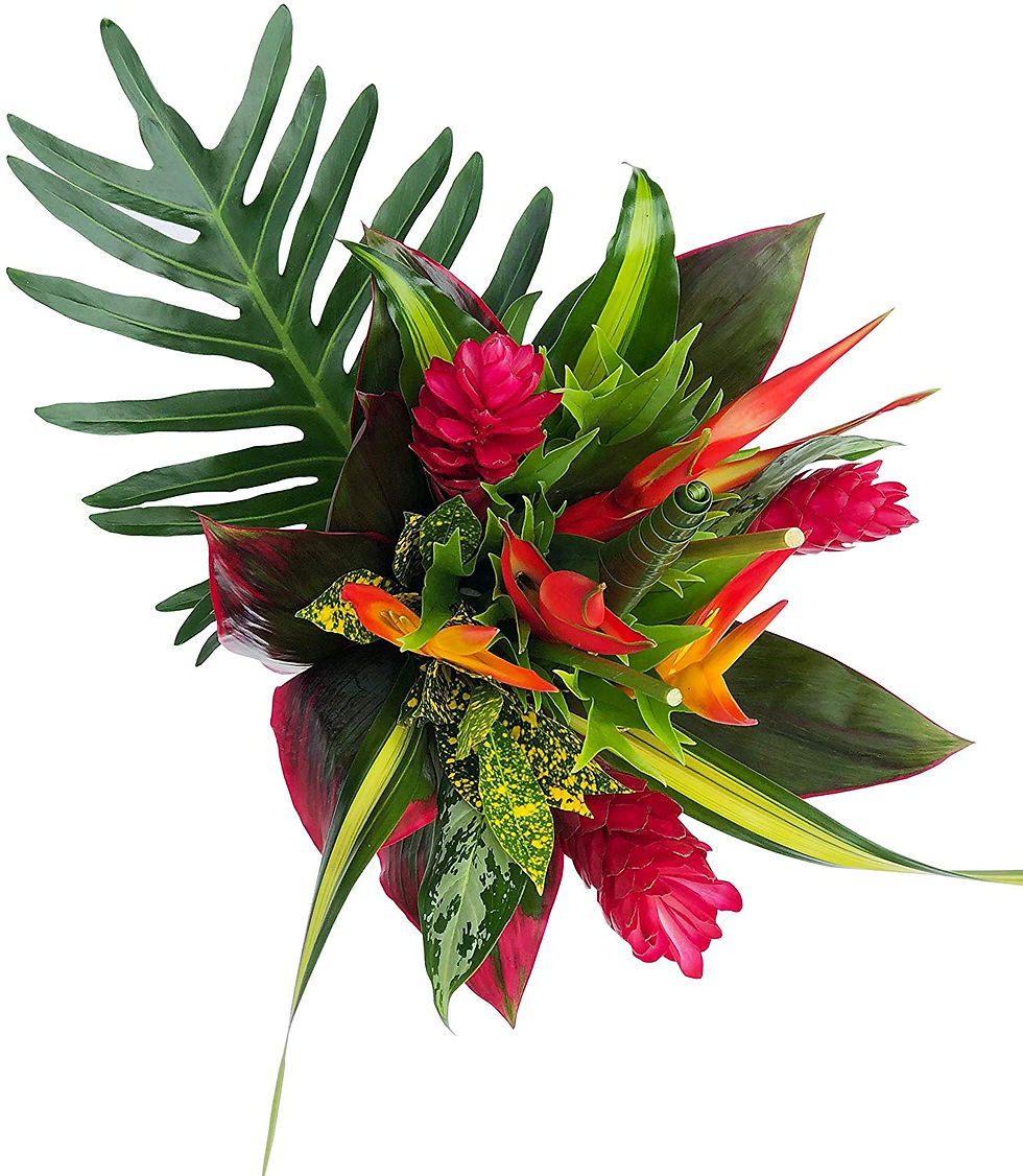 $55 Tropical Vase