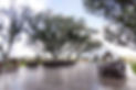 TwistedWebsitePhoto-June2024-13.jpg