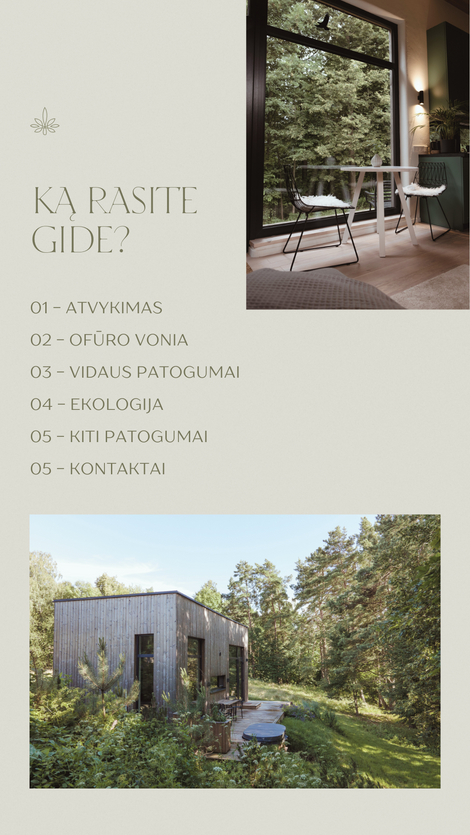 Sage Delicate Welcome Guide Presentation (Your Story).zip - 3