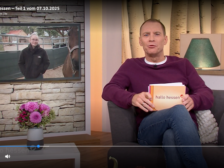 Ponyhilfe bei Hallo Hessen