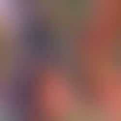 Miniatur_Julia Schoch: Das Vorkommnis