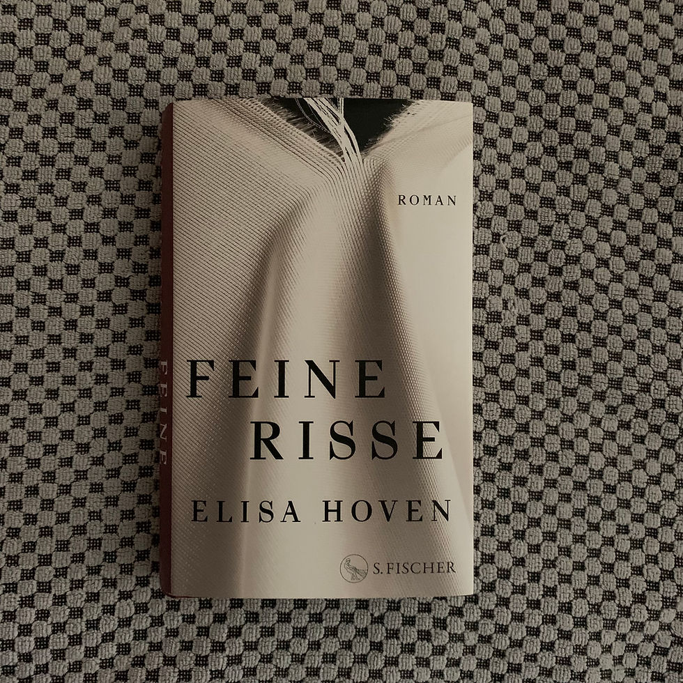 Miniatur_Elisa Hoven: Feine Risse