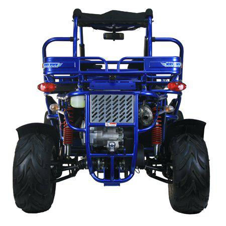 Thumbnail: TRAIL MASTER 300XRX-E