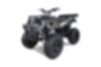 Thumbnail: TAO MOTORS RHINO 250