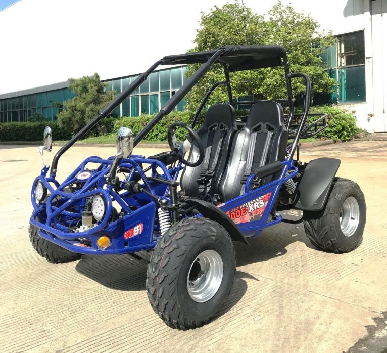 Thumbnail: TRAIL MASTER 200 XRS-E (EFI)