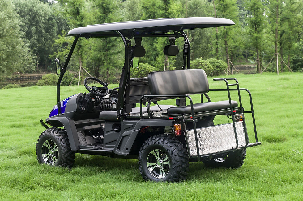 Thumbnail: Trailmaster Taurus 450GX 4x4 W/ Long Roof & Rear Seats (EFI)
