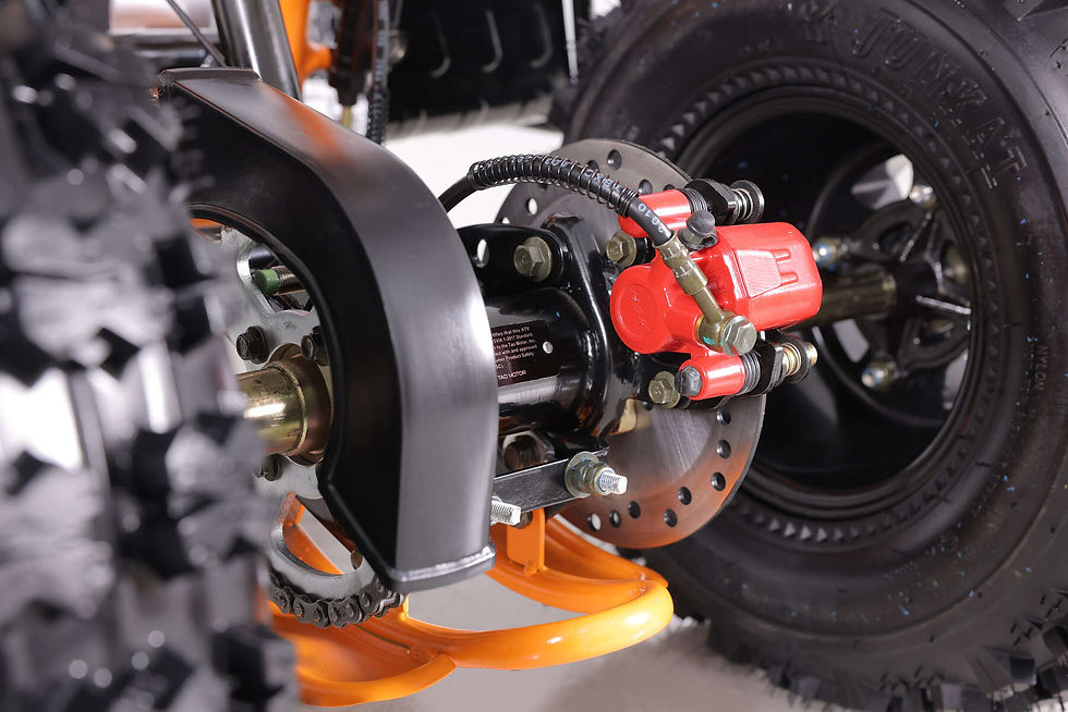 Thumbnail: TAO MOTORS CHEETAH PLATINUM