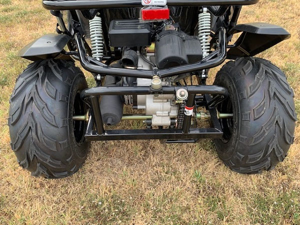 Thumbnail: TrailMaster Cheetah 200E (EFI)