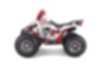 Thumbnail: TAO MOTORS CHEETAH PLATINUM