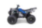 Thumbnail: TAO MOTORS RHINO 250