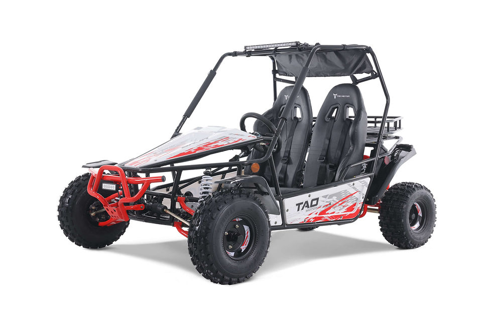 Thumbnail: TAO MOTORS Baja Sport 200