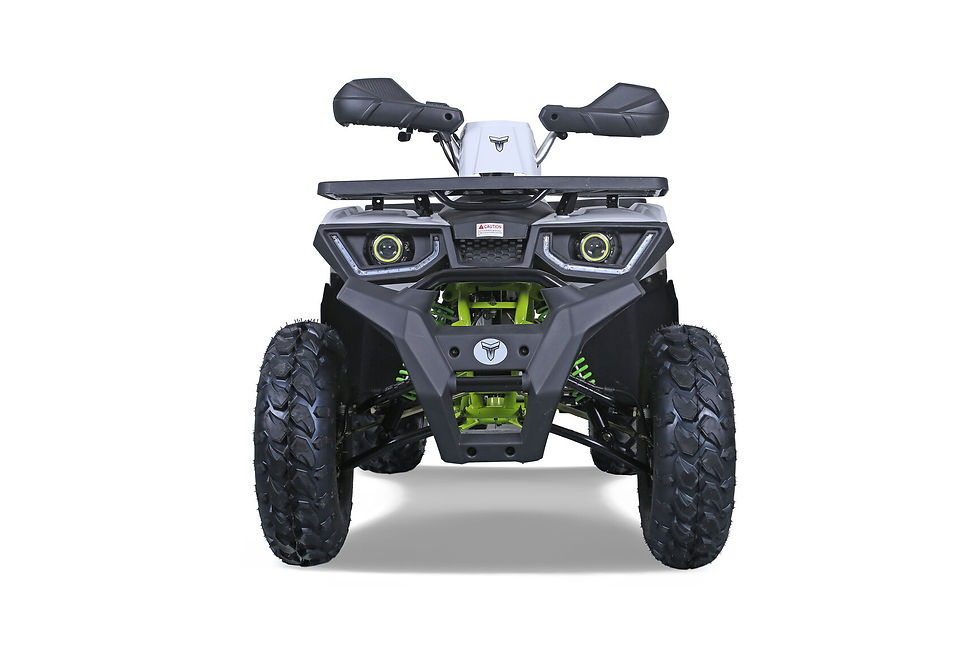 Thumbnail: TAO MOTORS 200G (PREVIOUS RAPTOR 200)
