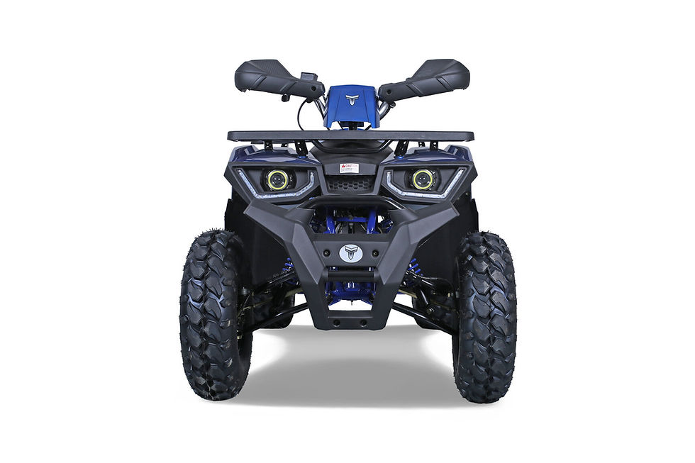 Thumbnail: TAO MOTORS 200G (PREVIOUS RAPTOR 200)
