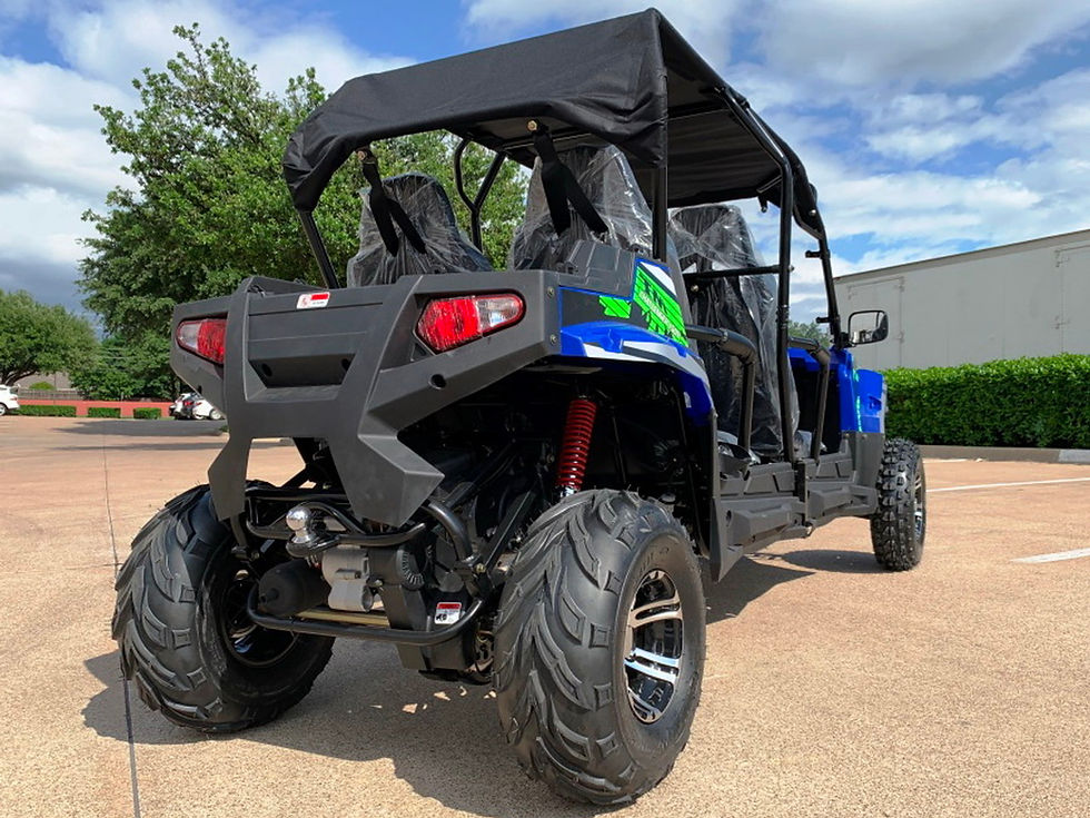 Thumbnail: TrailMaster Challenger 4-200EX (EFI)