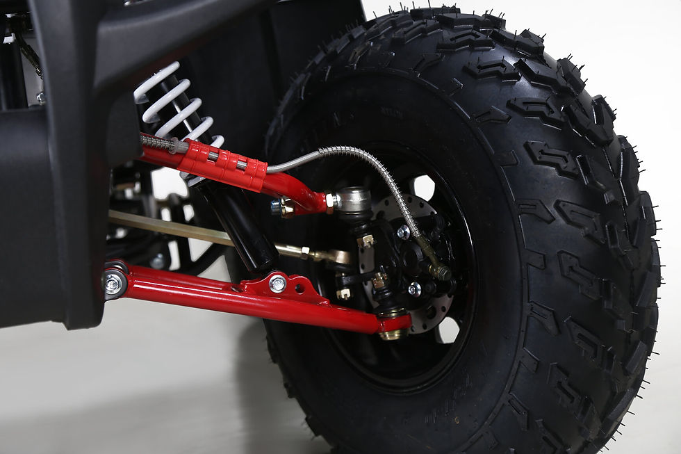 Thumbnail: TAO MOTORS BULL 200