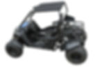 Thumbnail: TrailMaster Cheetah 200E (EFI)
