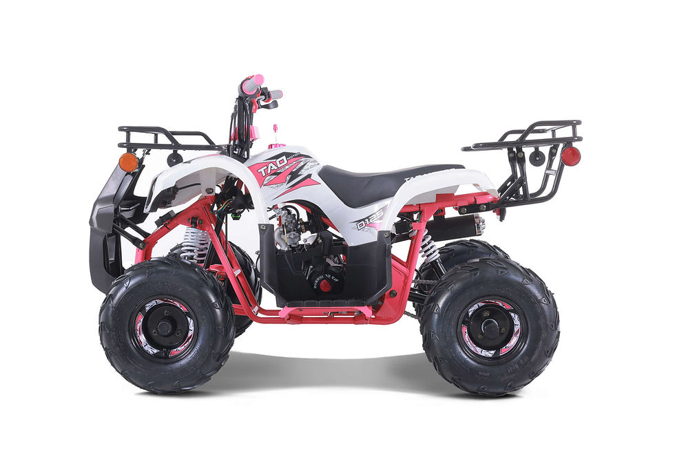 Thumbnail: TAO MOTORS D125 (ATA125D)
