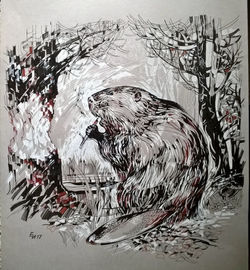 БОБЕР