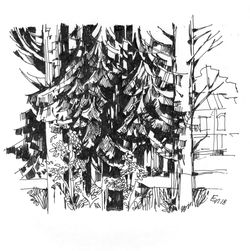 ©Elena Ivanova "Fir trees-1"