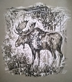 ivanova_elk